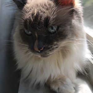 Meet your Posher, April